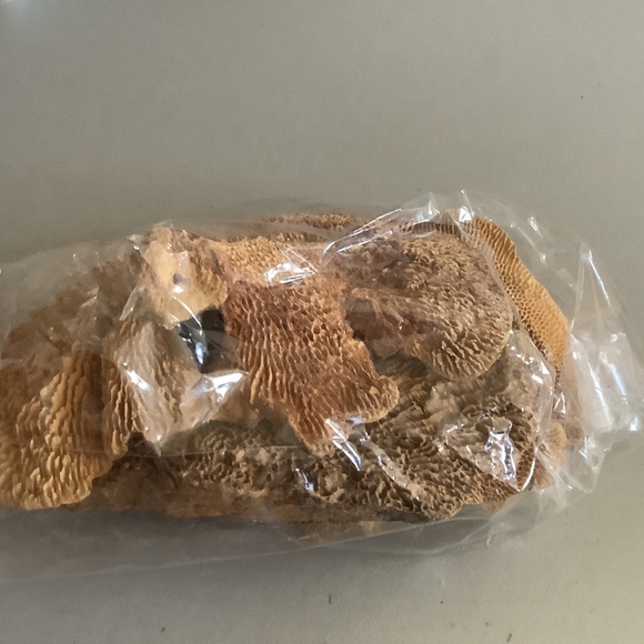 Terrarium Mushroom Ledge - Picture 4 of 4